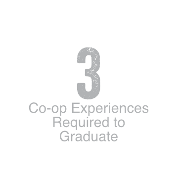 3 co-op experiences required to graduate