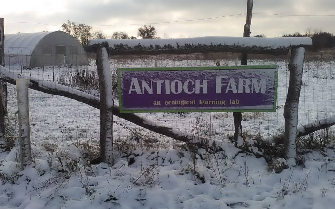 The Antioch Farm Winter Report – March 2019
