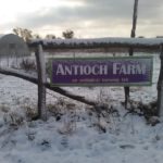The Antioch Farm Winter Report – March 2019