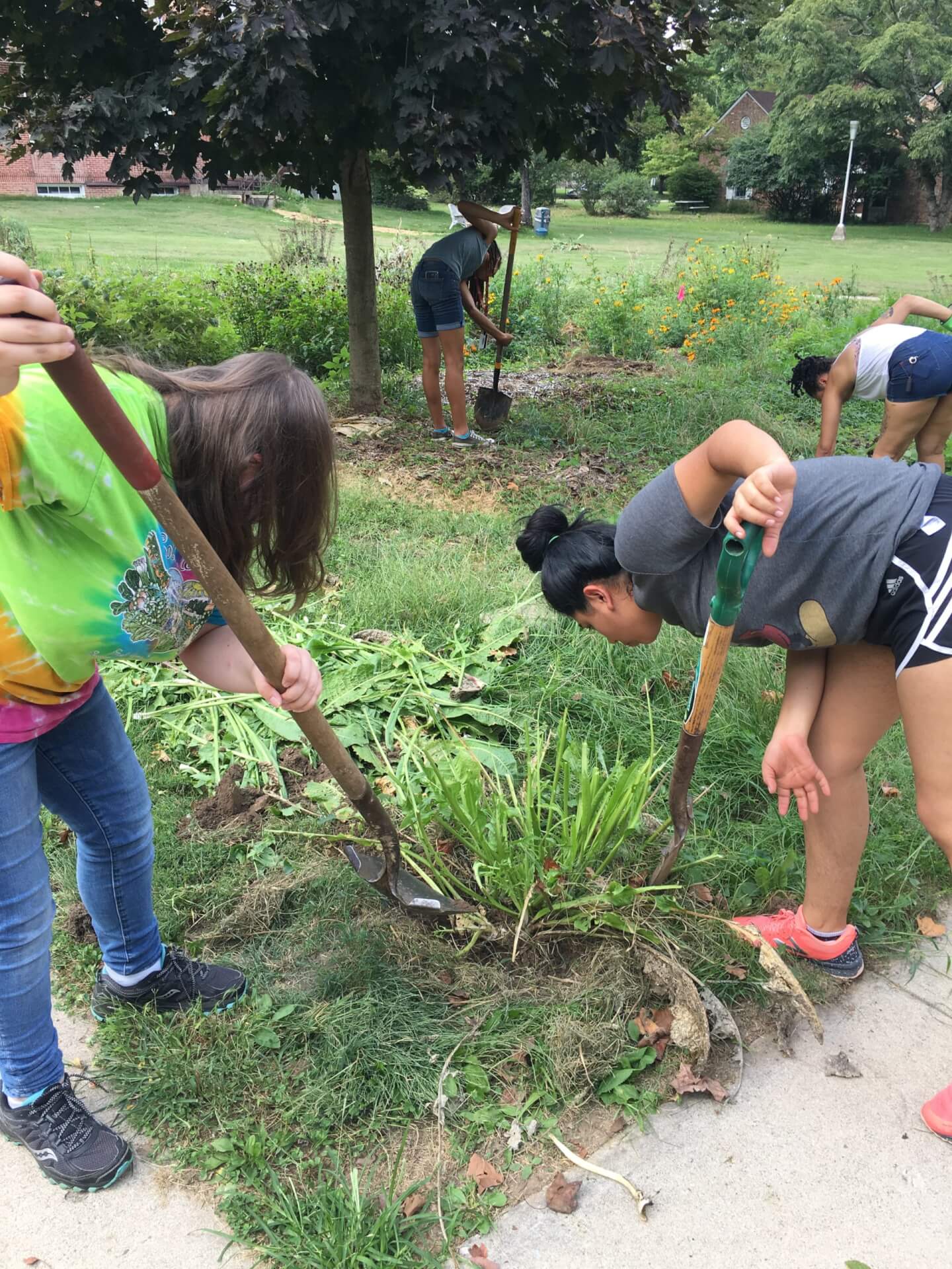 Experiential Learning at a Distance - Antioch College