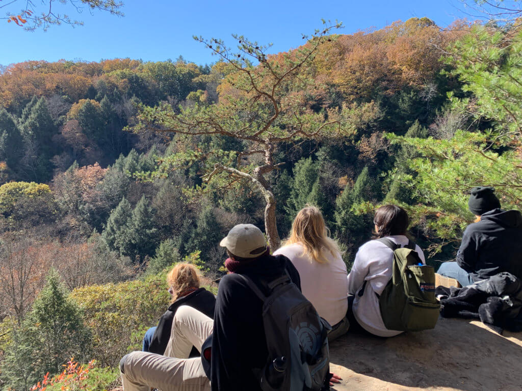 Antioch Students sit overlooking a vast forest on a field trip to Hocking Hills State Park.