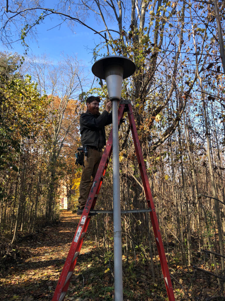 Cassidy from Regulated Watts upgrades a light pole on the path through the forest. Photo by Mike Fair.