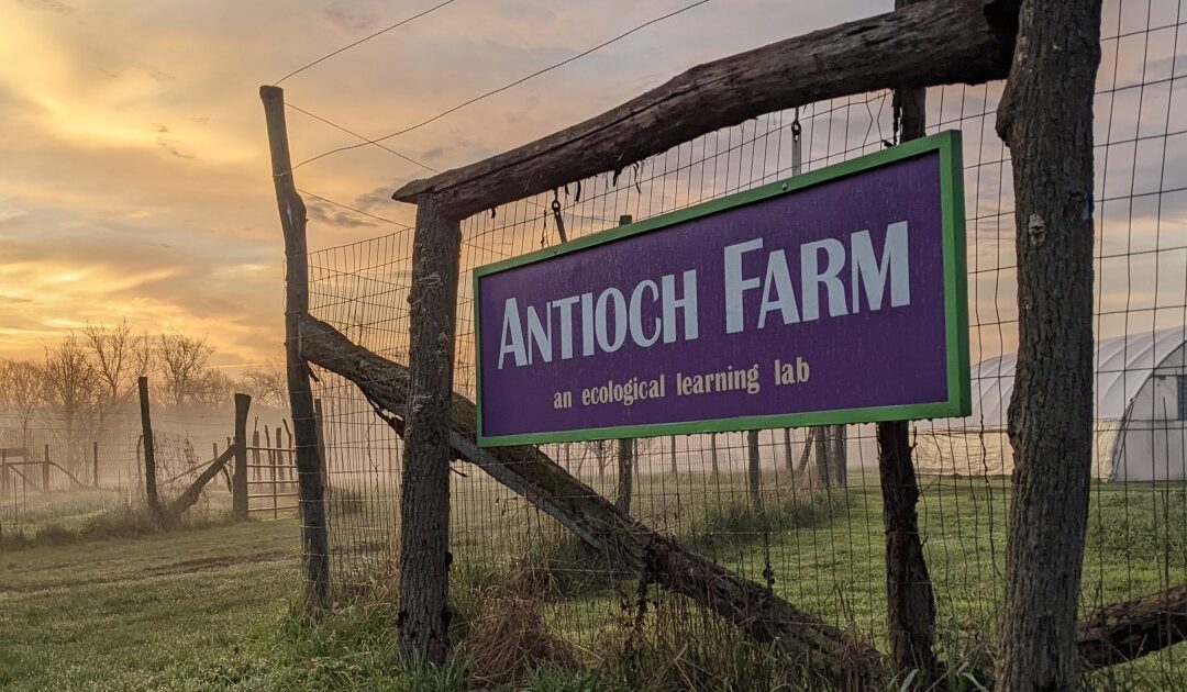 One Morgan Place: November 2025