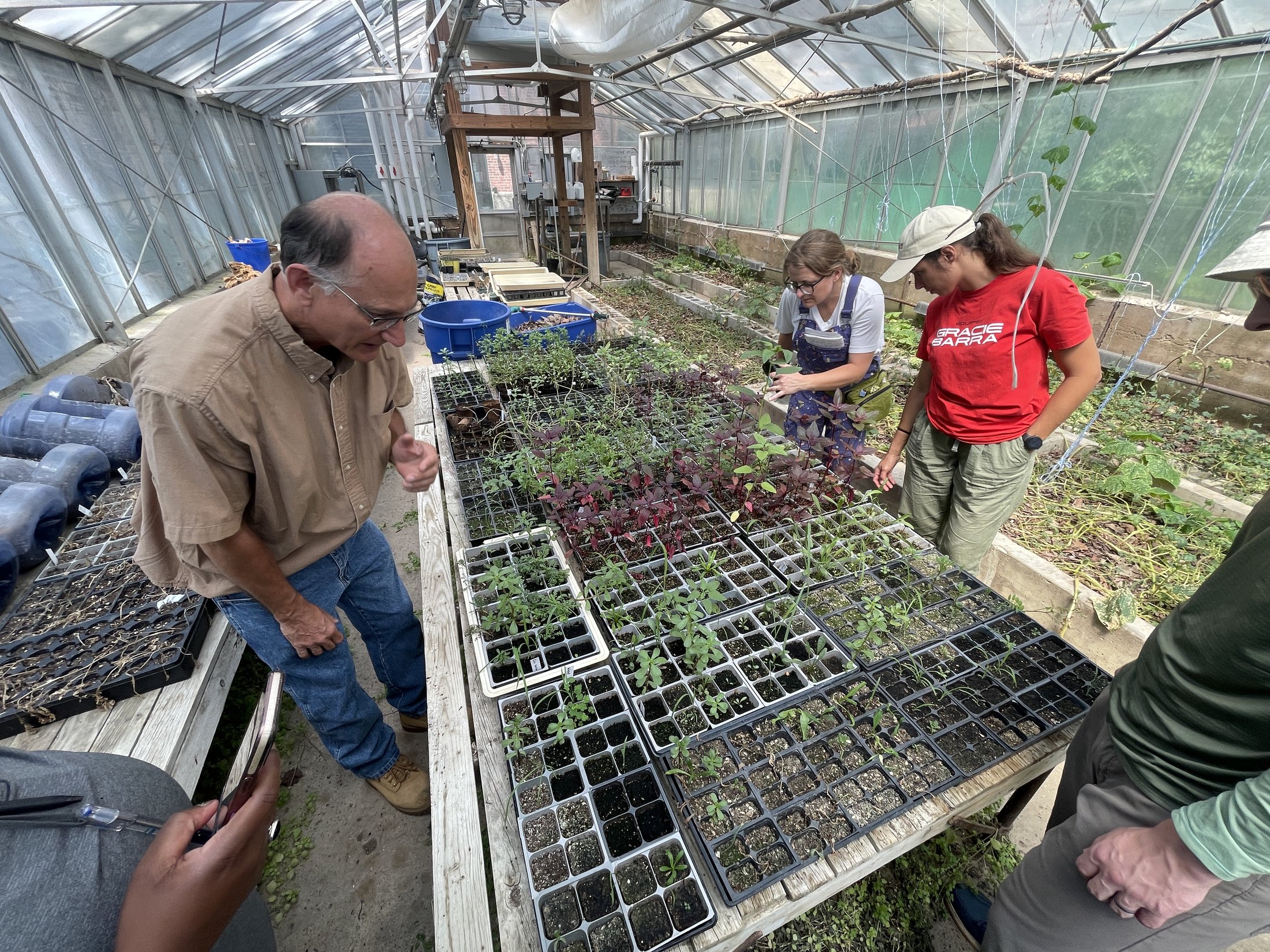 Group examining seedling trays in a greenhouse
