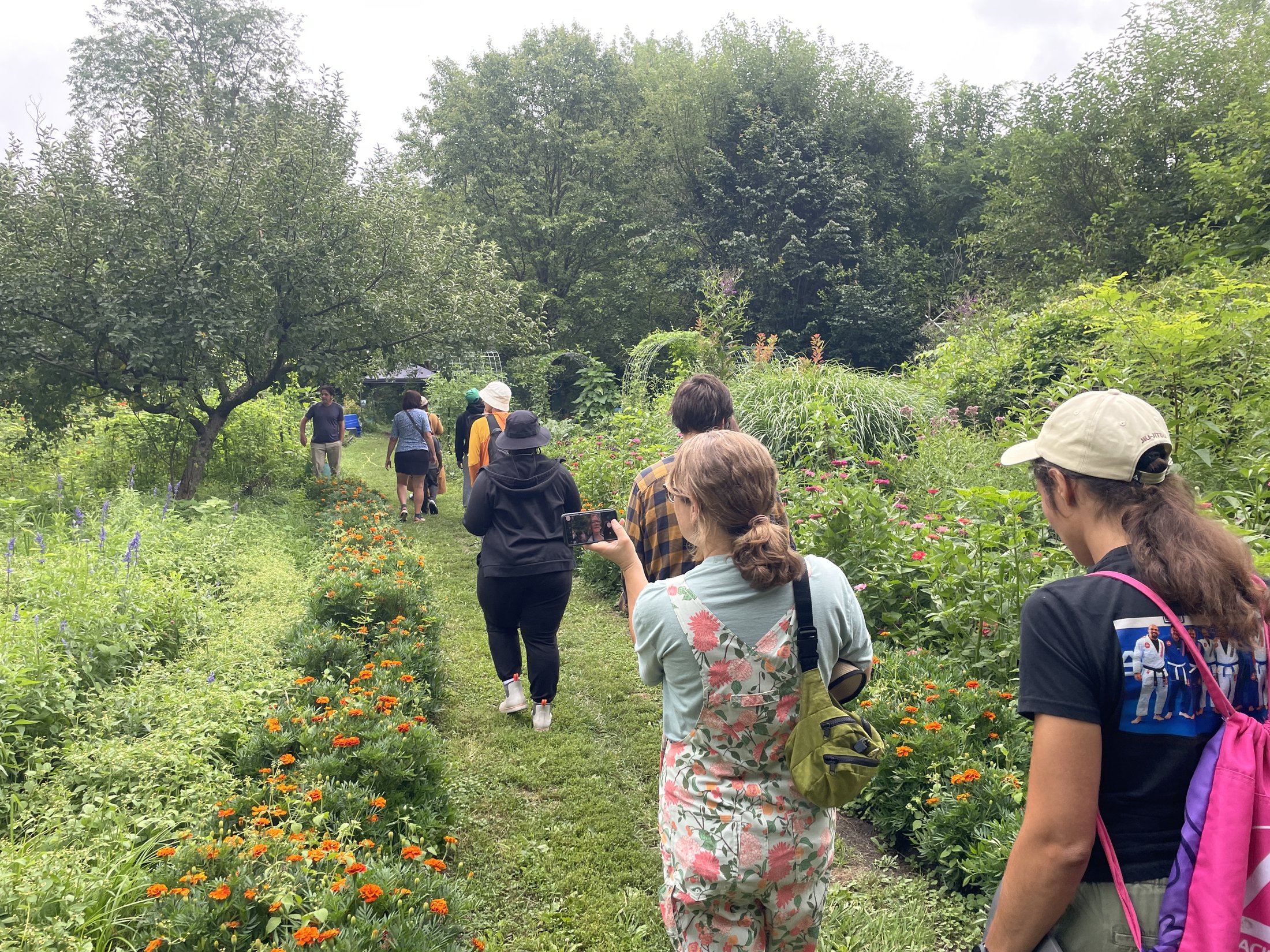 Group walking a path through the flower garden lined with marigolds and zinnias